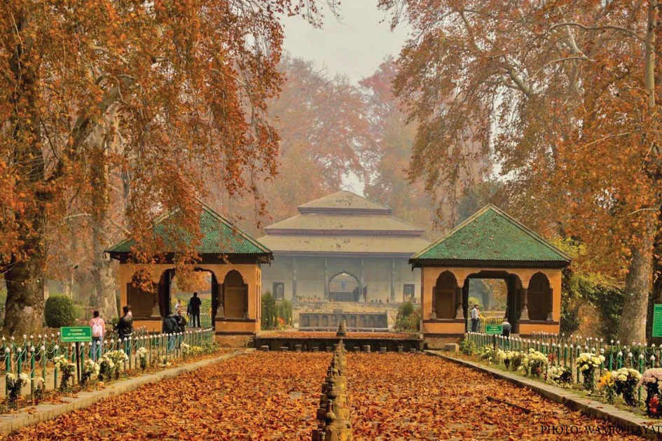 Shalimar_Blog_1200x630
